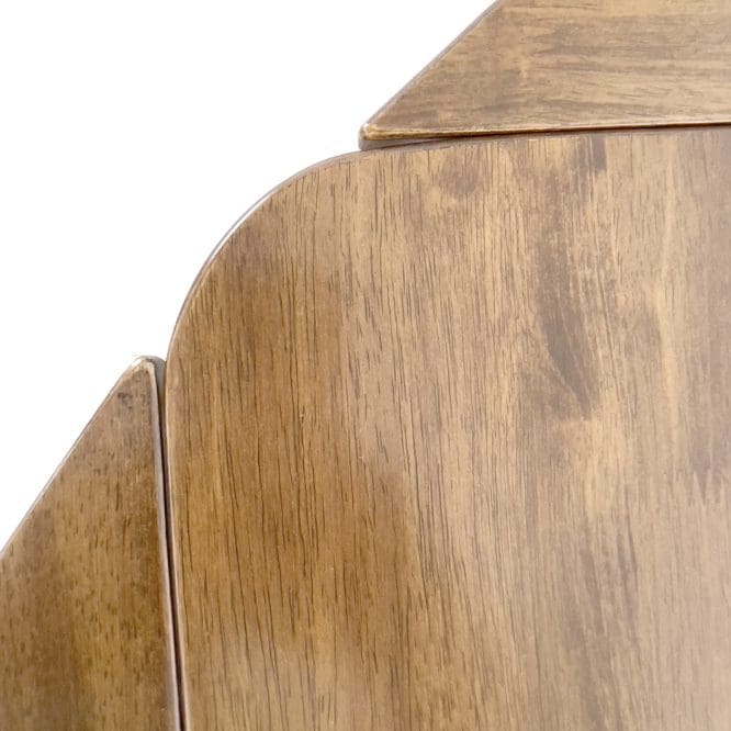 Trisha Solid Wood Dining Set (1 + 4) - Image 18
