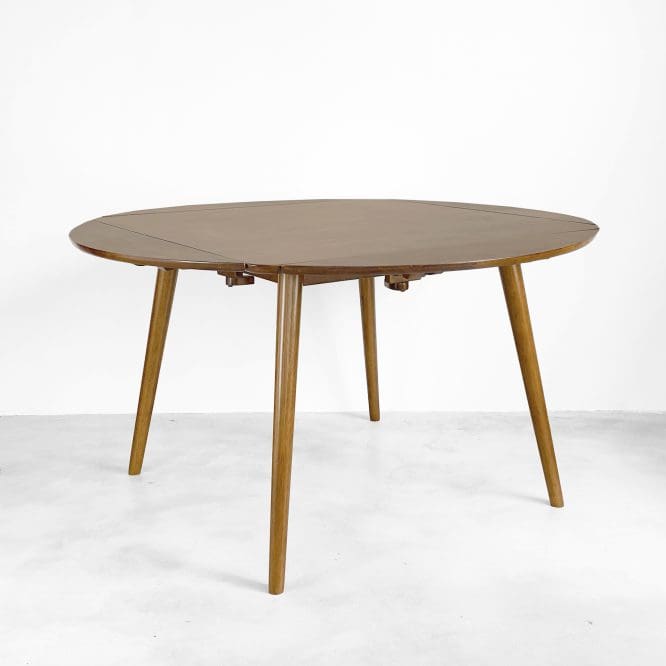 Trisha Solid Wood Dining Set (1 + 4) - Image 14