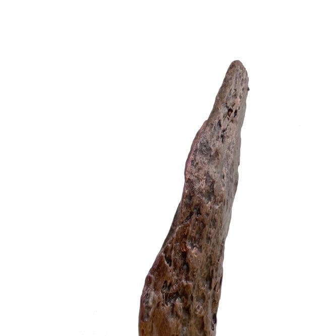 Rainbow Drift Wood Table Decor - Image 5